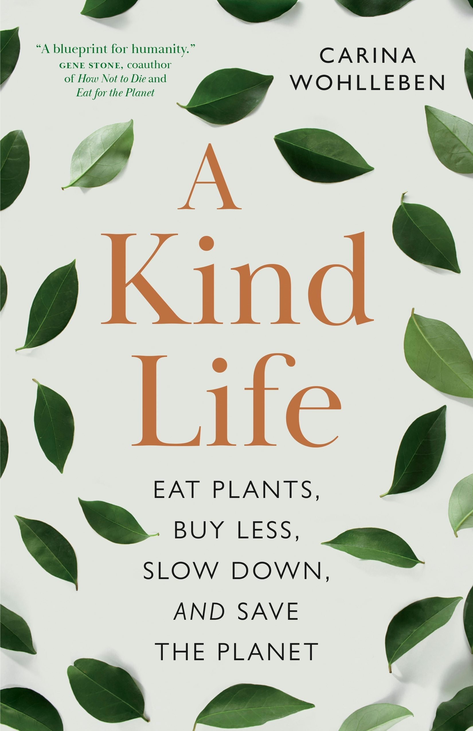 Book cover image for A Kind Life ISBN: 9781778400414